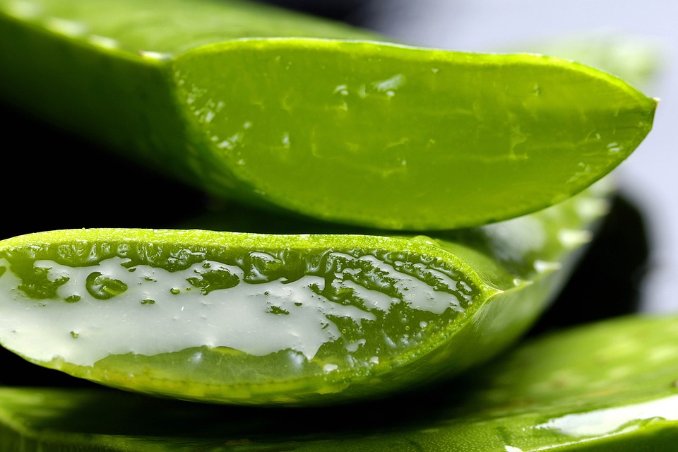 making use of aloe vera