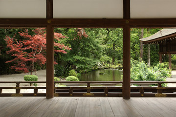 set a beautiful Japanese garden