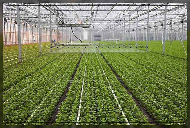 Landscape irrigation 2