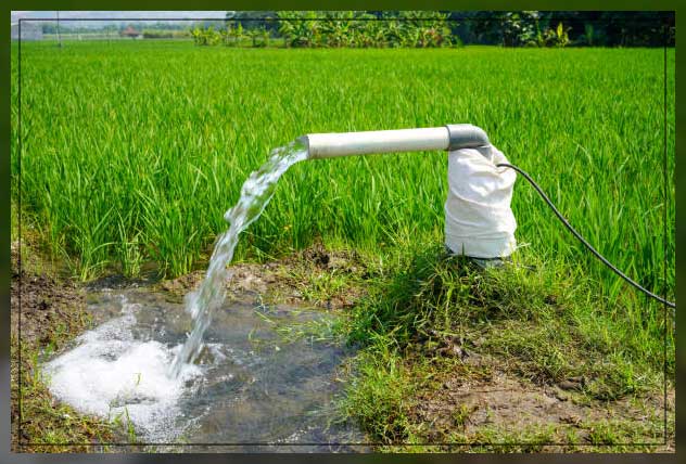 Landscape irrigation 3