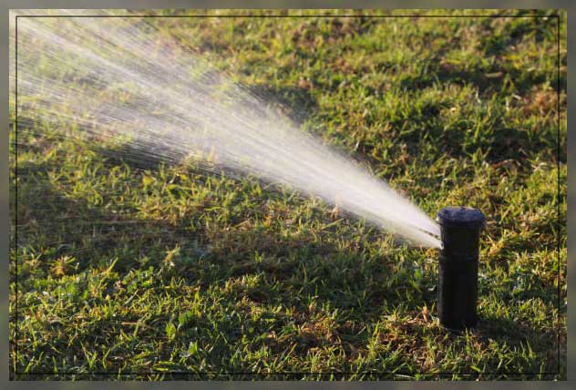 Landscape irrigation 4