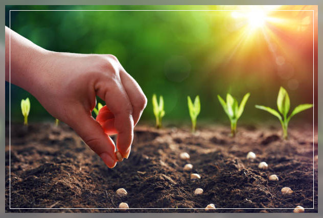 Landscape irrigation 5