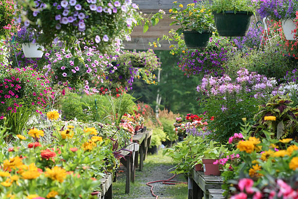 Nursery in Dubai 4