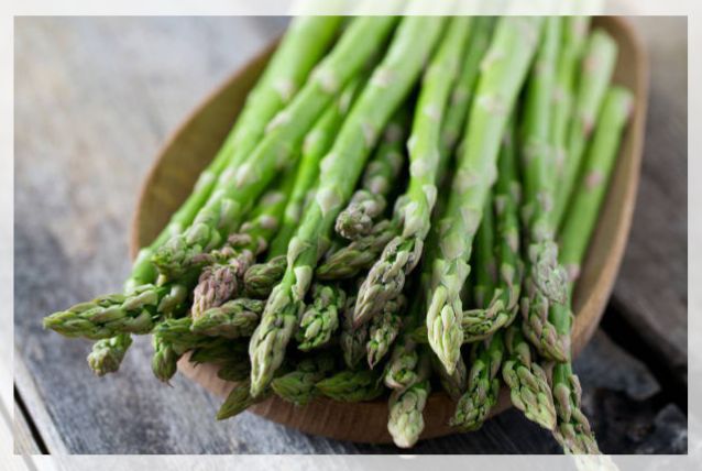asparagus plant