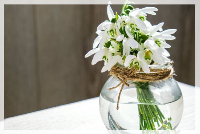 cut flowers