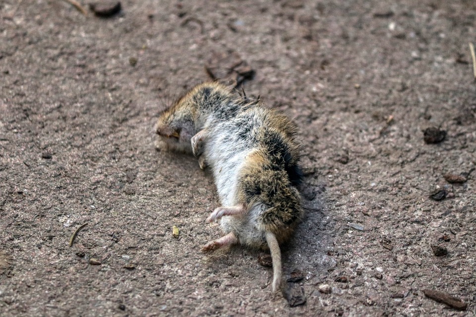 attaining solid results