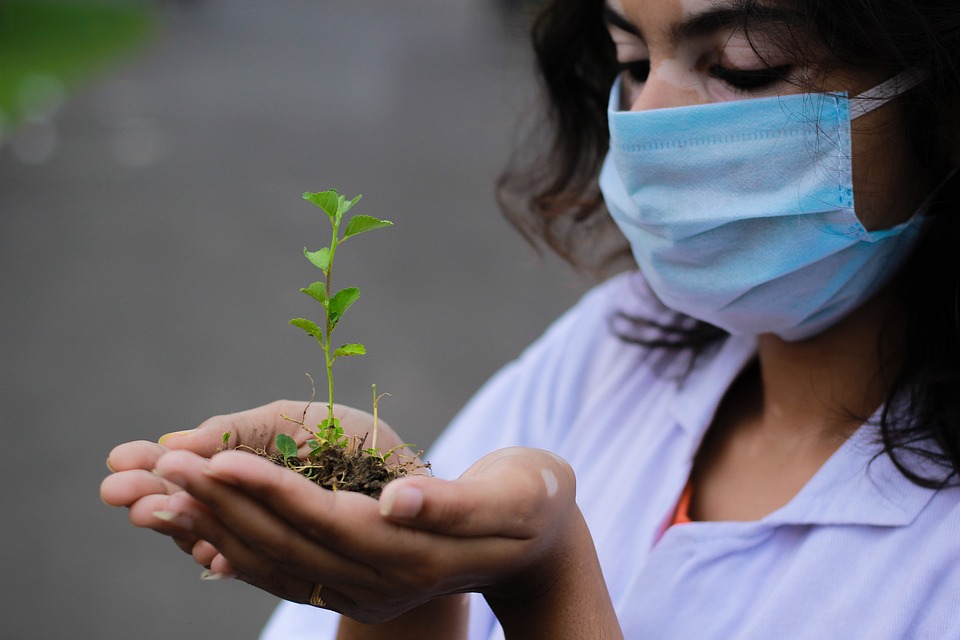 how to combat leggy seedlings