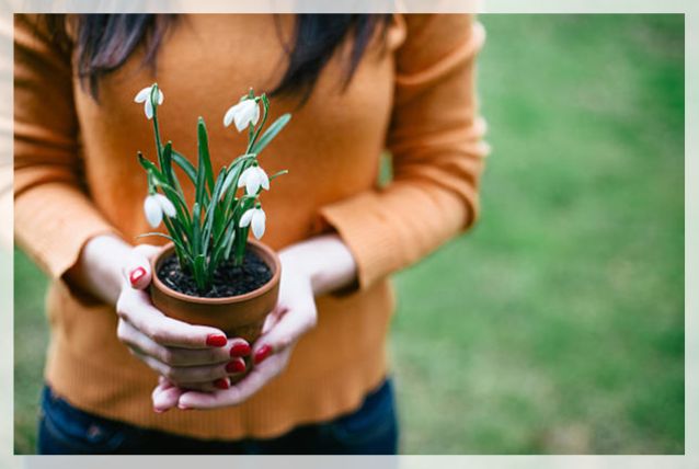 potting
