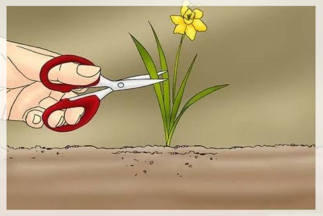 propagation