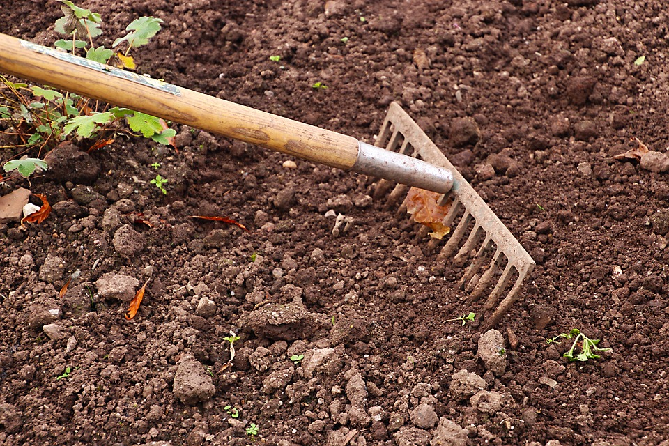 using no-till gardening