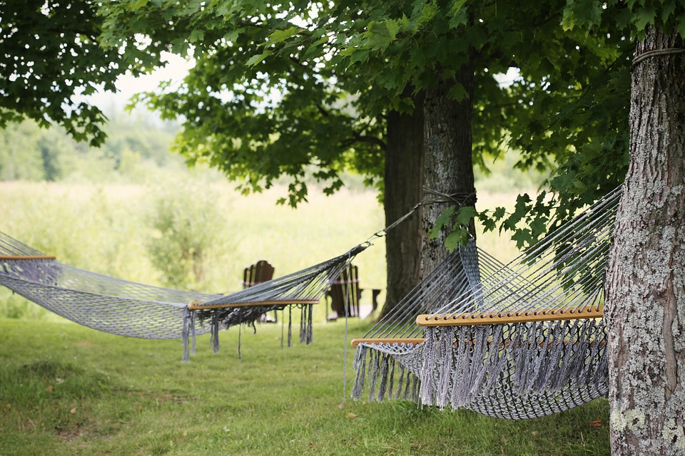 have a hammock in your garden