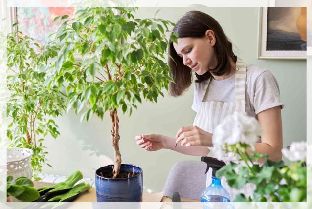 watering needs