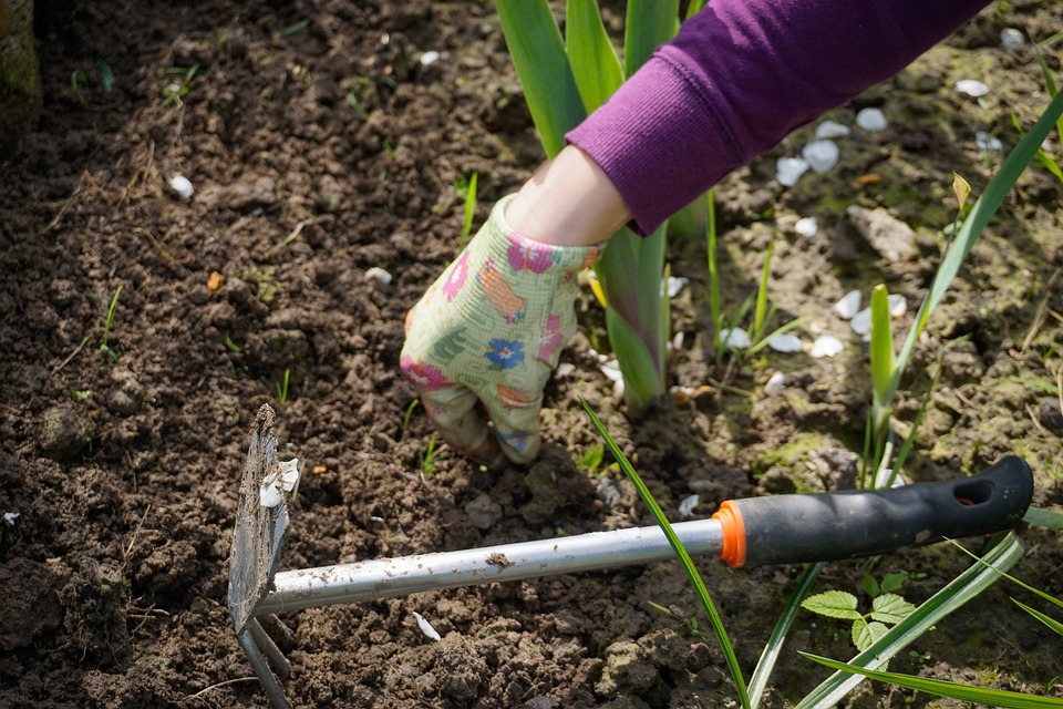 what is weeding ?