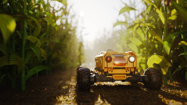 Digital photography 2