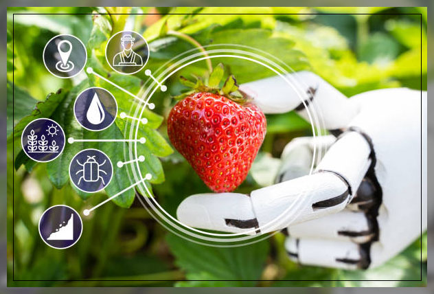 Farm automation 3