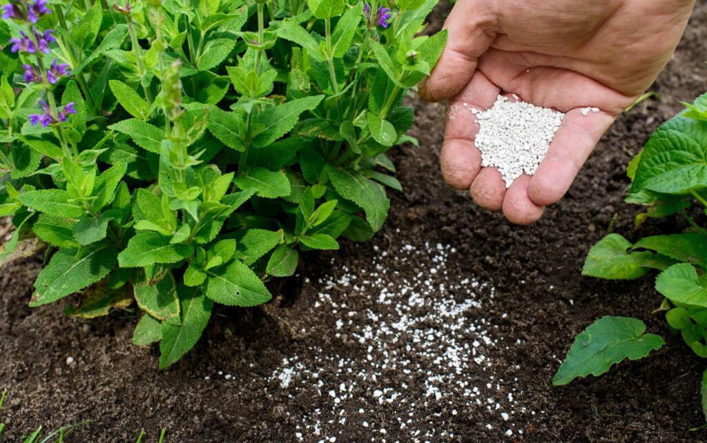 attaining the right level of fertilizer ratios