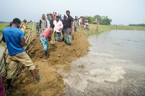 Subsistence farming 3