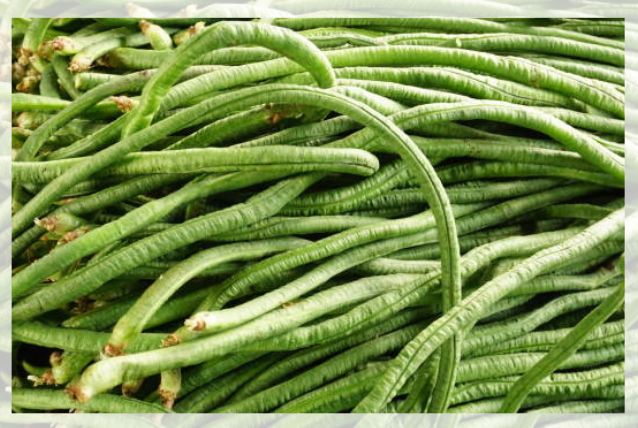 long beans