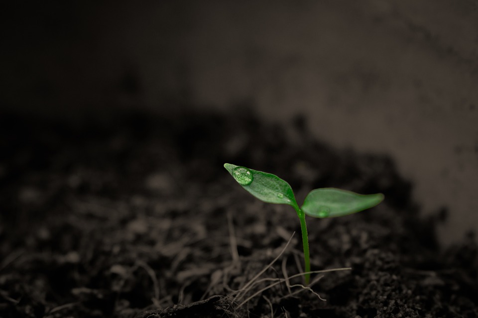 looking into what is pulverization of soil