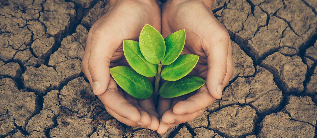 ensuring the environment is preserved