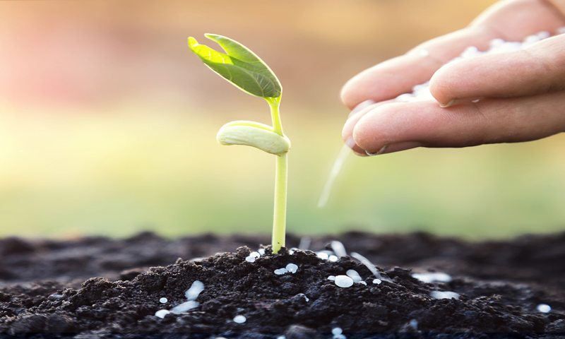 how to get a good garden