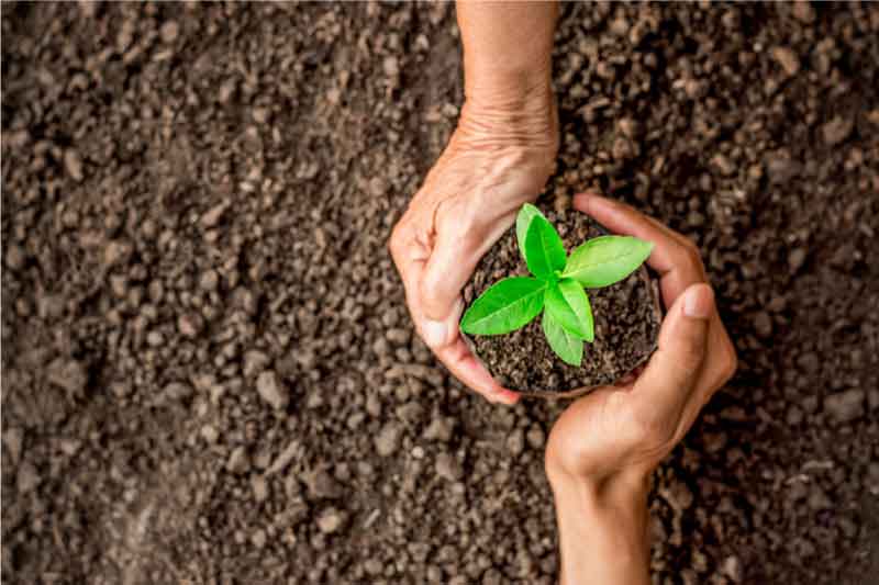 keeping the soil healthy and fertile 