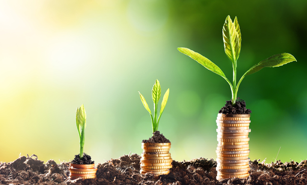 using them effectively in Dubai