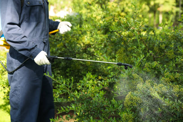 Pest control services 1