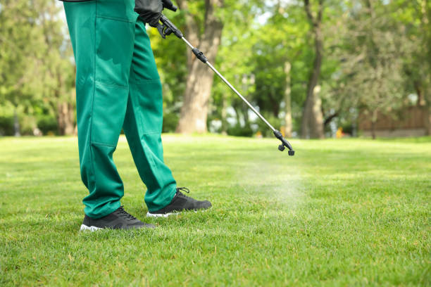 Pest control services 2