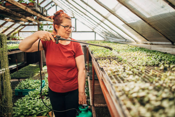 Pest control services 3