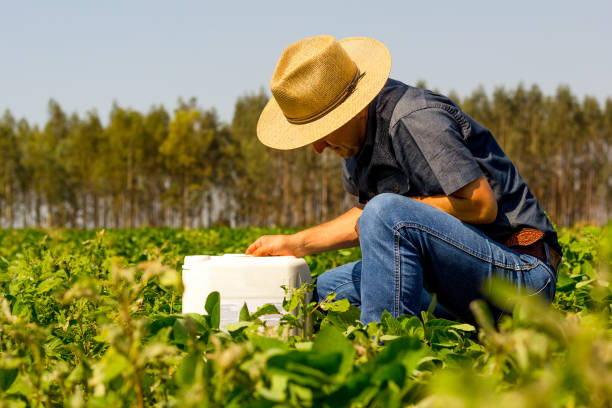 Pest control services 6