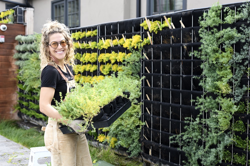 adapting tactics for vertical gardening