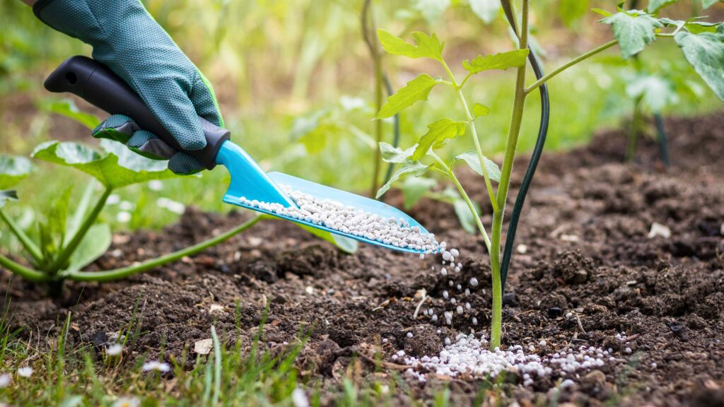 using fertilizer effectively 