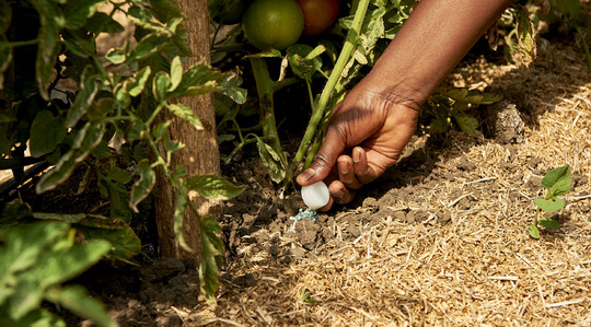 effective fertilizer use 