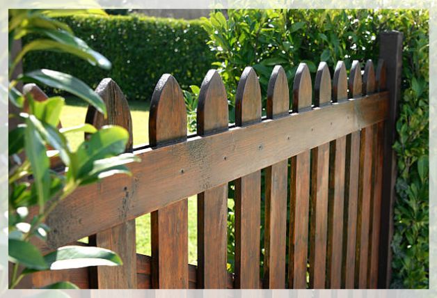 garden fence