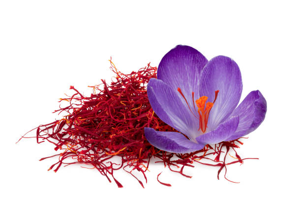 saffron flower