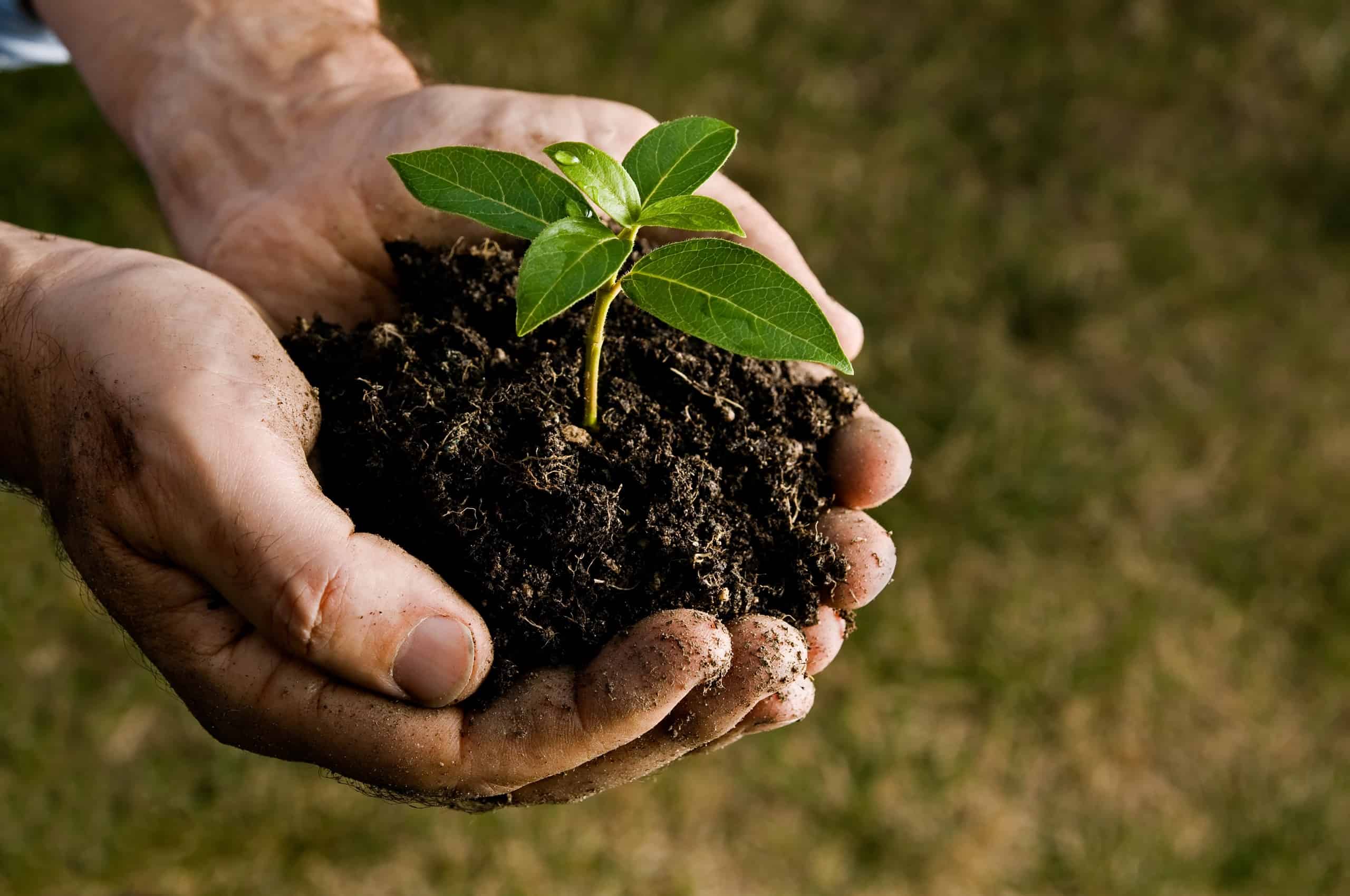 uses of humus soil conditioner
