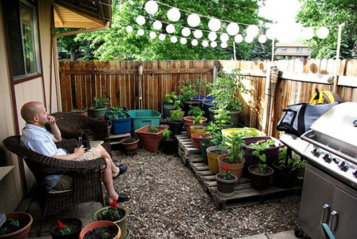 adapting small-space gardening