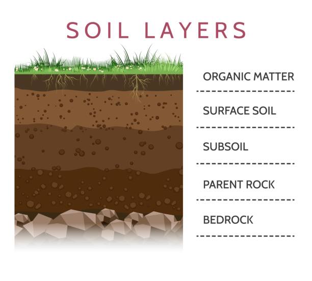 Diagram of soil layers and horizons