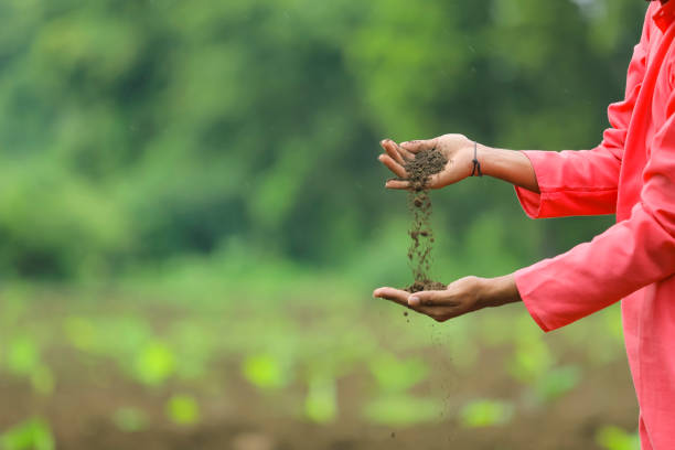 Soil pouring from hands in a field