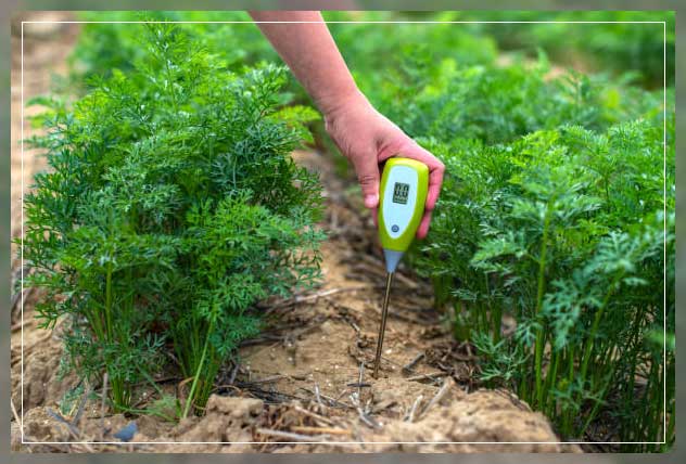 Agriculture temperature sensors 3