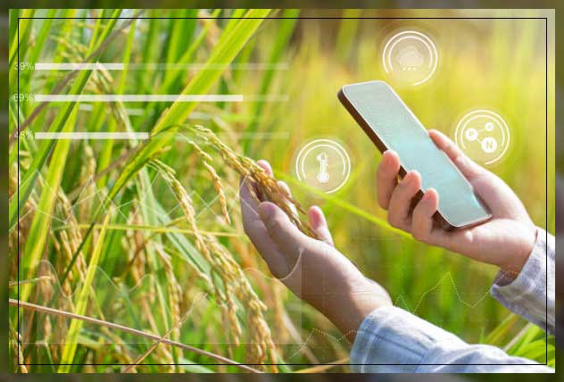 Agriculture temperature sensors 4